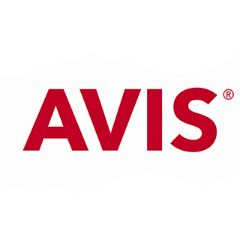 Avis Rental