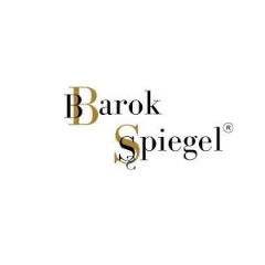 Barok Spiegel NL