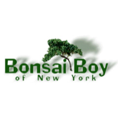 Bonsai Boy Of New York discounts