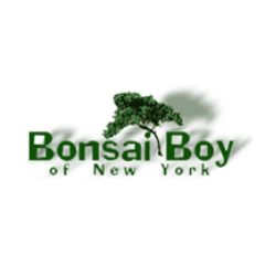 Bonsai Boy Of New York discounts