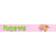 Flying Pig Software
