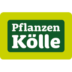Pflanzen Kolle DE discounts
