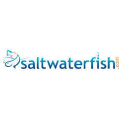 Salt Water Fish